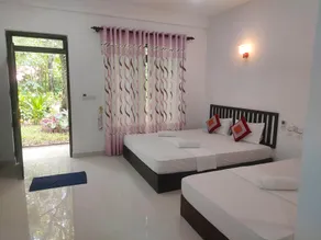 Nature bird paradise hotel - Image 2