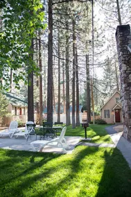 Sleepy Forest Cottages - Image 2