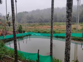 Nightingale Villa Wayanad - Image 3