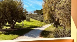 Agricampeggio La Piaggia - Agriturismo - Image 3