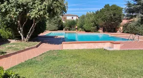 Flamingo's Home - Image 4