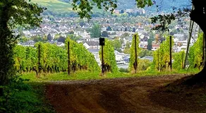 Ahrweiler Seelchen - Image 3