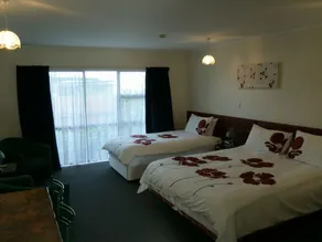 Pania Lodge Motel - Image 2