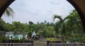 Eco Moringa Garden - Image 5