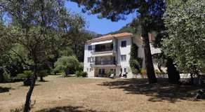 Art.Villa.Nike - Image 5