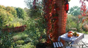 Hungária Vendégház - Image 5