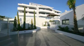 Dream Gardens - Image 4