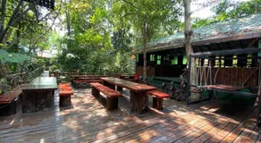 Khao Sok Tree House Resort - Image 5