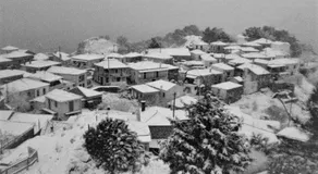 LAFION HOUSE - Image 2