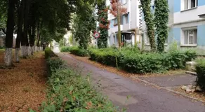 AMM Apartament Grigorescu - Image 5
