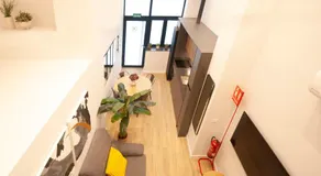 LOFT Accommodative B - Image 4