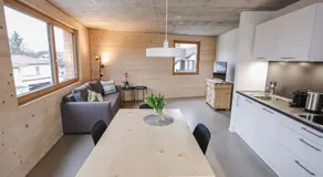 BOUTIQUE APARTMENTS LUSTENAU Nachhaltige Kühlung über Erdsonde und Fussbodenkühlung - Image 4