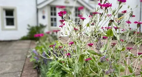Hartfield House Hostel - Image 2