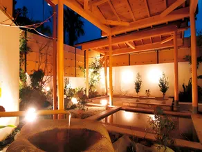 Sunshine Shirako New - Image 5