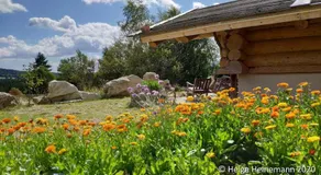 Landhotel zum Matthiasl - Image 3
