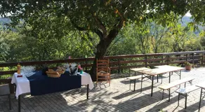 The Green Trail - Rooms - Image 2