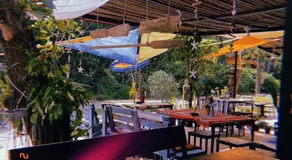 Tropical Hostel - Image 4