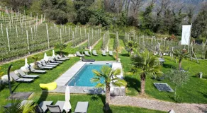 Garden-Suite Faselehof - Image 5