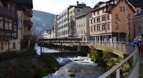 Ferienwohnung Wildbad Süd - Image 5