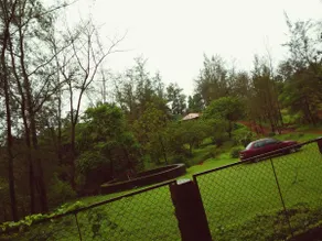 Whispering Woods Farmstay, Amba (Entire Place) - Image 4