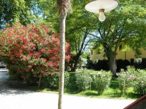 Fattoria di Migliarino - Image 4