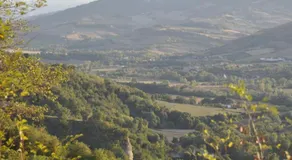 All'Ovile - Image 5