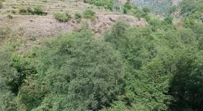 Apple Bud Homestay - Image 3