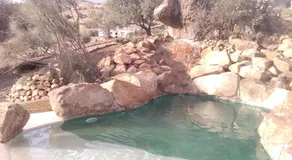 Biznaga - Image 3