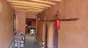 امردول تسكوكت امرزكان ورزازات - Image 4