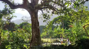 La Casita de Don Daniel - Image 3