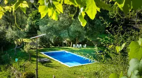 QUINTA do SOUTO BARCIADEMERA - Image 4