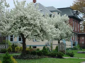 ROCKING HORSE INN - BED AND BREAKFAST - Image 5