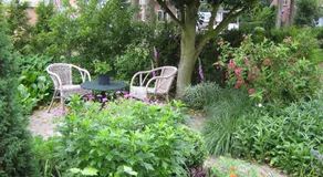 B&B De Esdoorn - Image 5