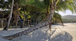 White Hat EL NIDO - Image 5