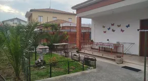 Stella Bianca - Image 5
