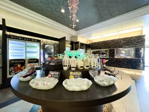 Hotel ZALA - Image 4