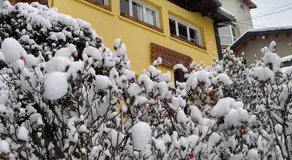 Bariloche Hostel - Image 5