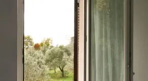 Agriturismo L'Uliveto Equestre - Image 2