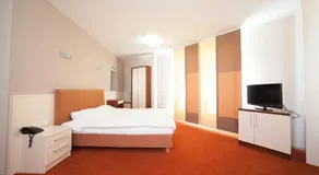 Hotel Lebed - Image 2