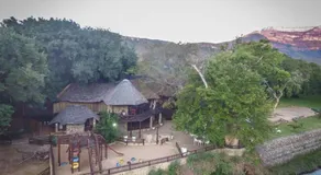Moholoholo Ya Mati - Image 4