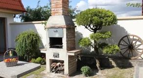Laura Villa - Image 5