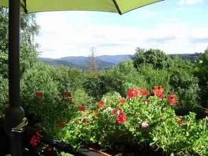 Cozy Chalet with Breathtaking Views in Hommert - Image 3
