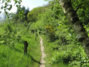 Scenic Hideaway in Notter - Image 1