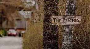 The Beeches Studio, Highlands of Scotland - Image 4