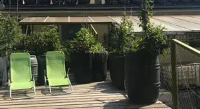 Wiener Gäste Zimmer - Image 5
