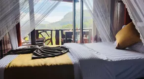 Chill Wood Resort - Image 3