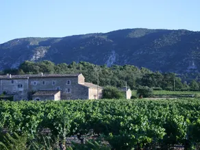Le Mas des Lônes - Image 3