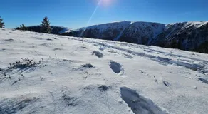 le flocon chaud sauna - Image 2