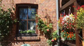 Hotel Wilhelmshof - Image 5