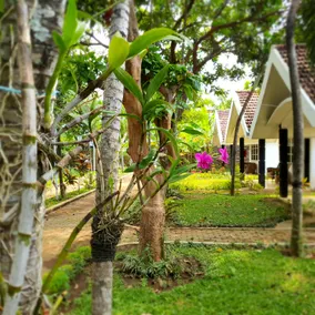 Tengger Guest House - Image 3